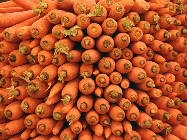 Carrot after harvesting
