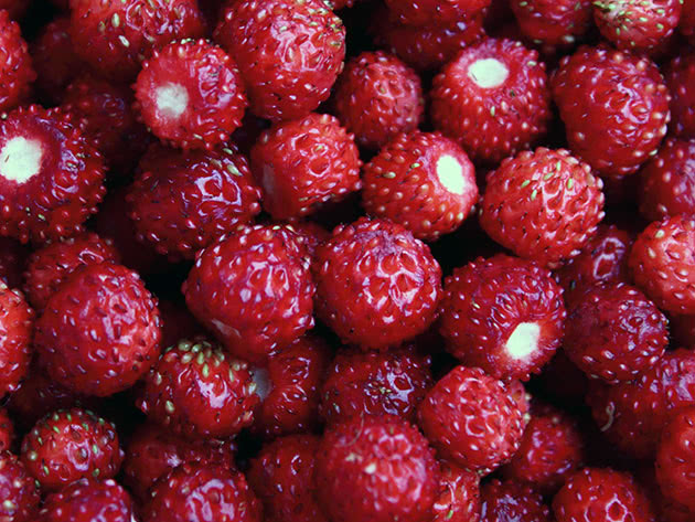 Gathered ripe strawberry