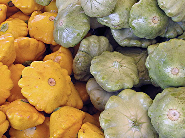 Yellow and green varieties of squash