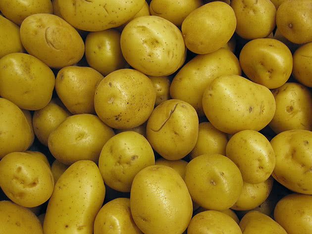 Вирощування картоплі в городі