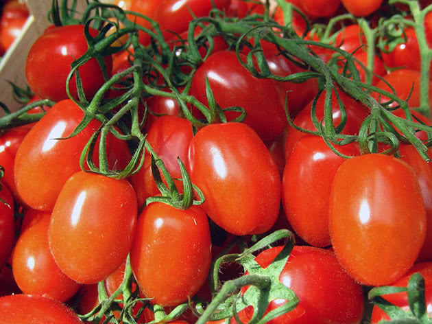 Посадка та догляд за томатами в саду