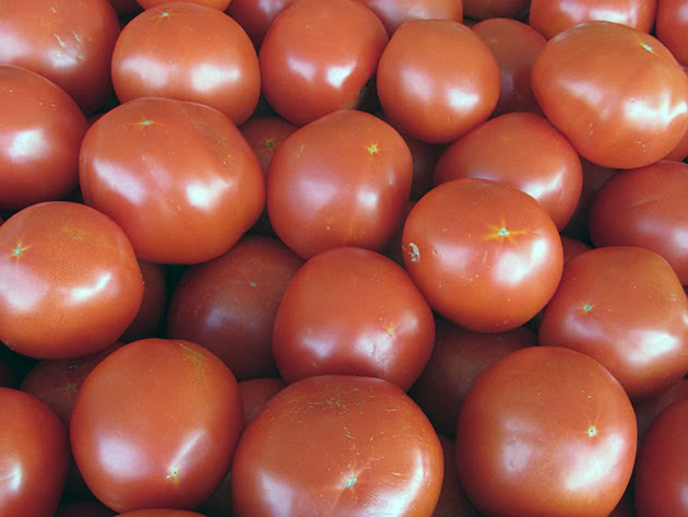 Собранные спелые томаты