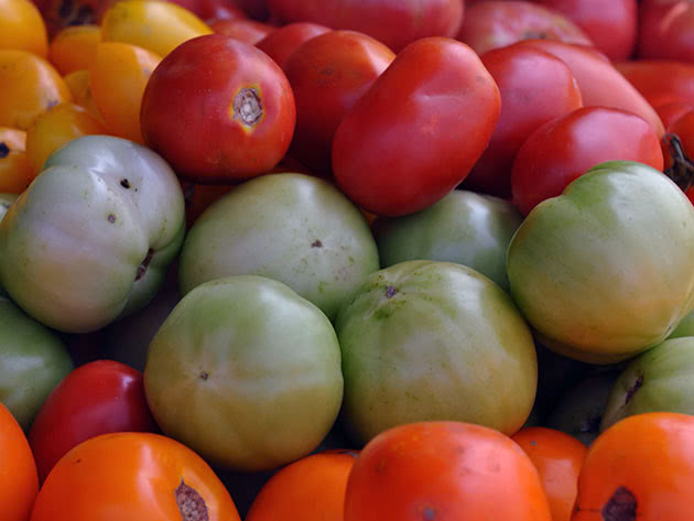 Різні сорти томатів