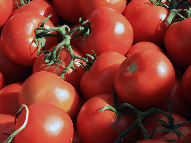 Как правильно собирать помидоры для длительного хранения