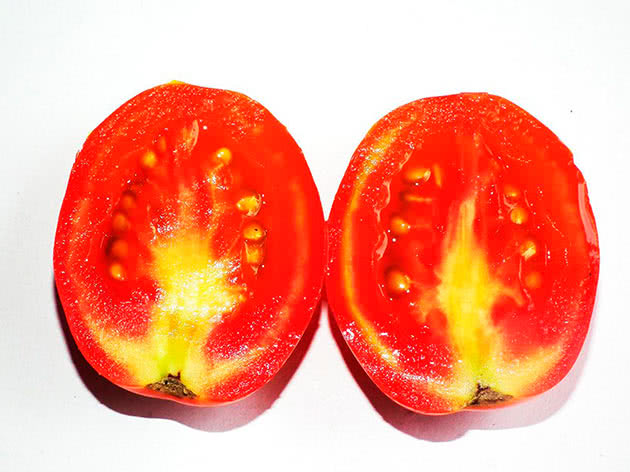Гибридный томат