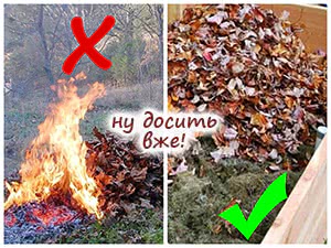 Не спалюйте листя