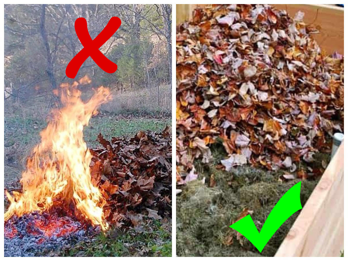Не сжигайте листья