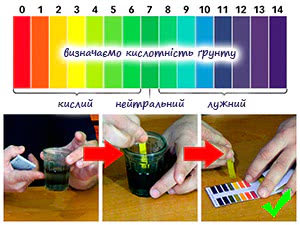 Визначення pH ґрунту