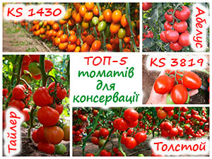 Сорти томатів для консервування